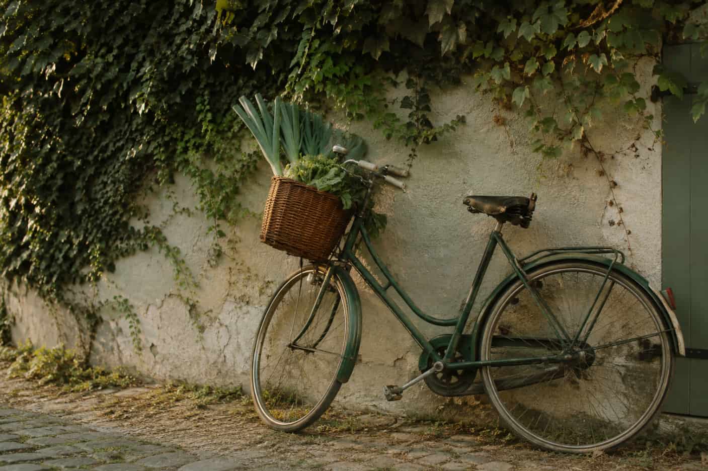 Blog Abnehmen ohne Diät: Fahrrad mit Gemüsekorb an einer Gartenmauer